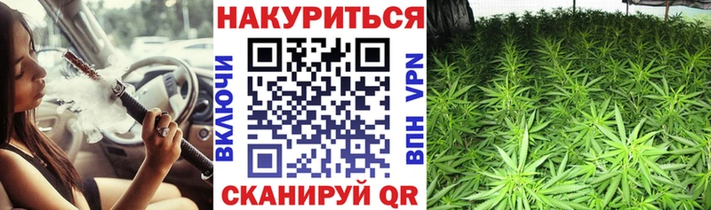 наркота  Туймазы  Марихуана Ganja 